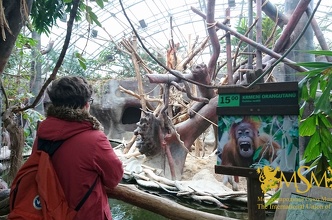 Екскурсія в зоопарк і аквапарк