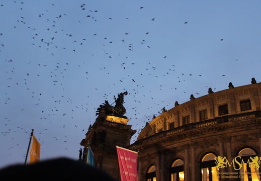 IMG 4533