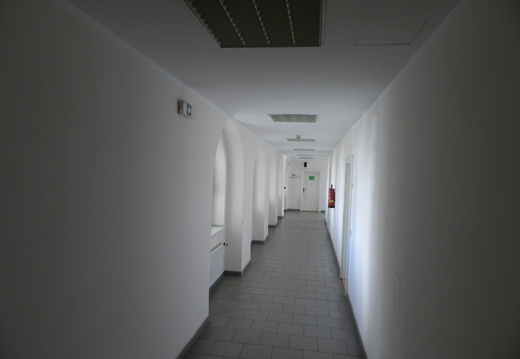 DSCN6424