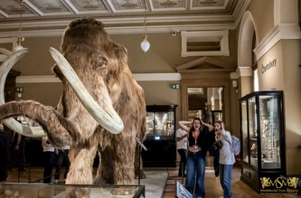 Excursion to the National Museum 